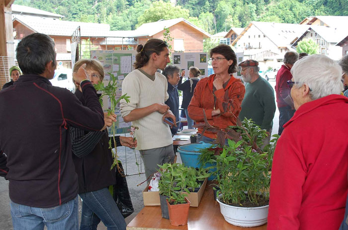  troc aux plantes en Beaufortain