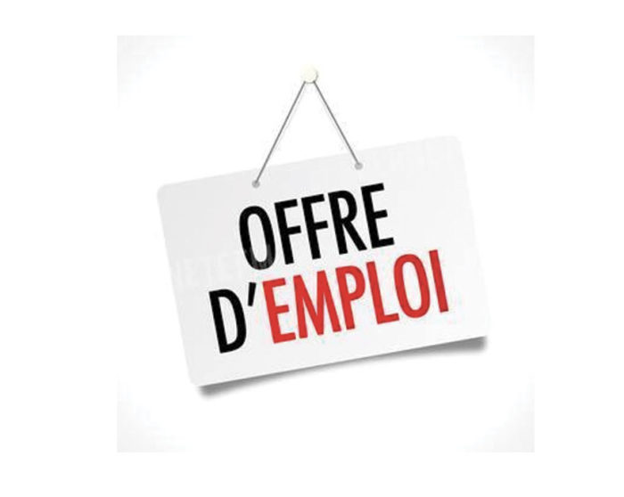 OFFRE EMPLOI animateur les mercredis